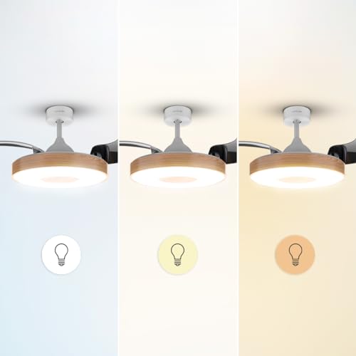 Cecotec Ceiling Fan With Light and Retractable Blades - Energy Efficiency