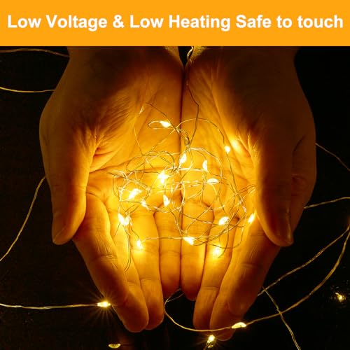 Forepin Fairy Lights, 20 Pack Battery Operated, 1M Warm White String Lights For Indoor Decoration
