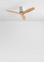 CREATE WindCalm S Ceiling Fan with Light and Remote Control