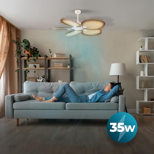 Cecotec Ceiling Fan With Remote Control - Efficient Airflow & Quiet Operation