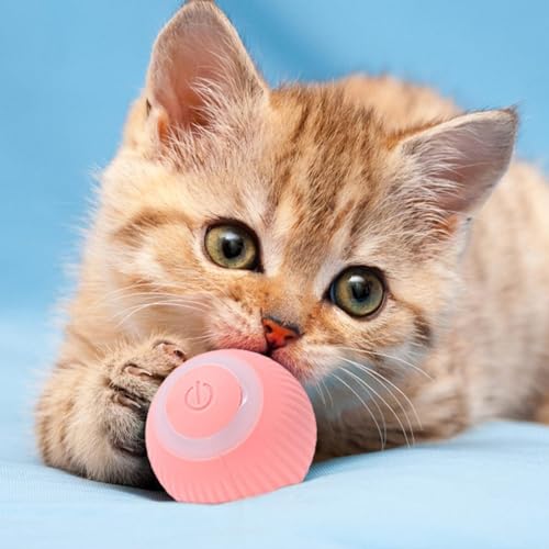 Ljlhg Interactive Cat Toys Ball - 360 Degree Self Rotating Fun