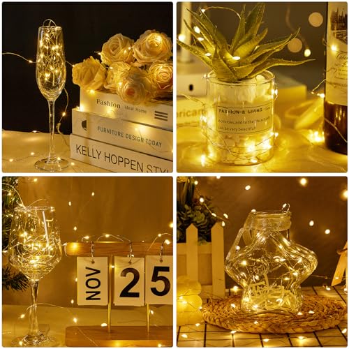 Forepin Fairy Lights, 20 Pack Battery Operated, 1M Warm White String Lights For Indoor Decoration