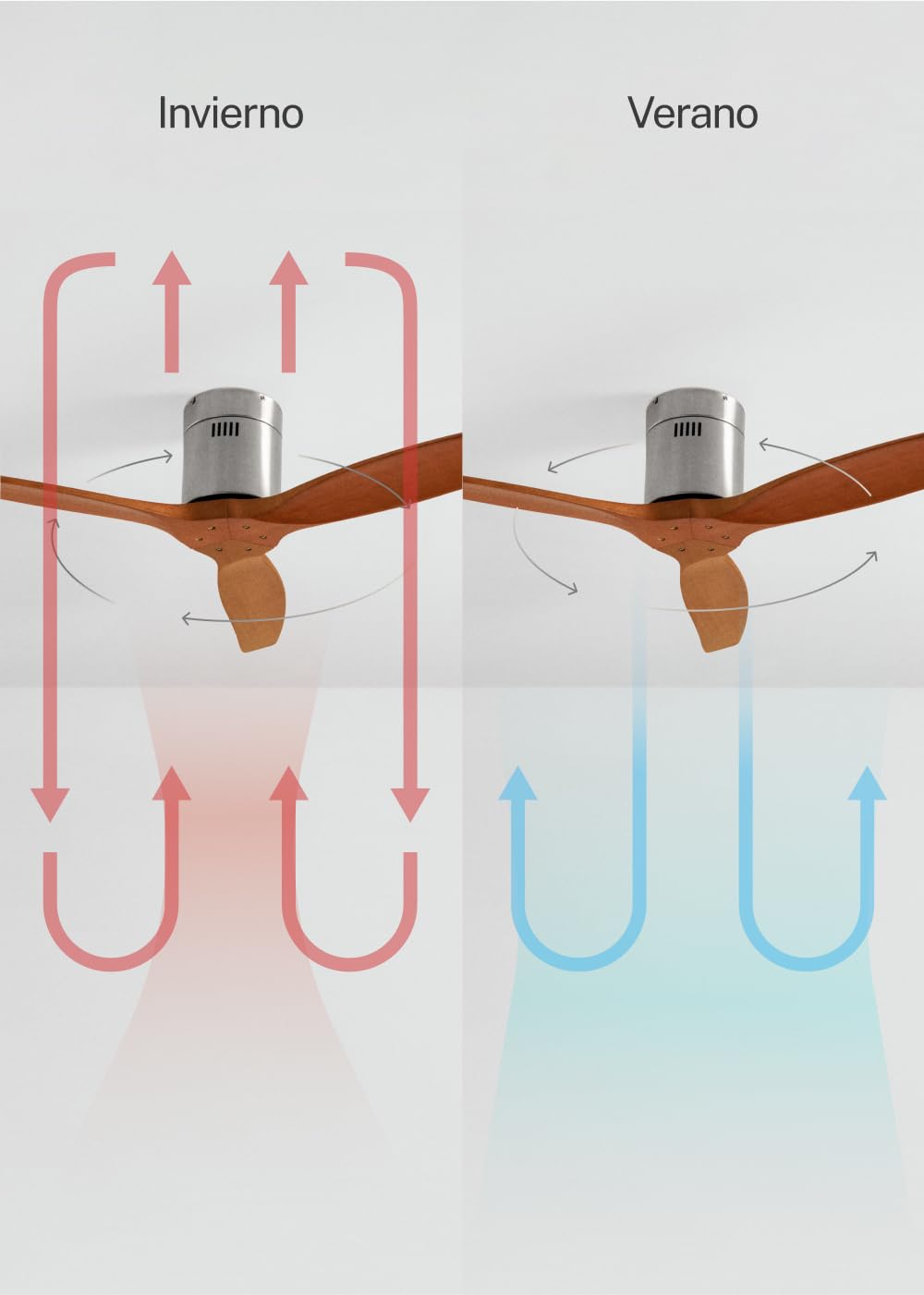 Create Windcalm Natural Wood M Ceiling Fan with Remote