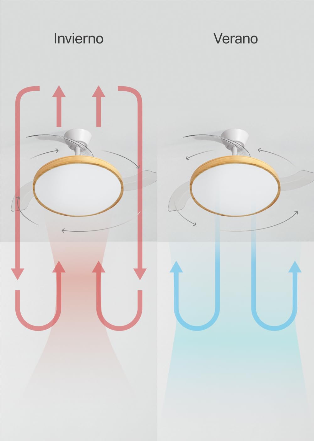 CREATE WIND CLEAR STUDIO M Ceiling Fan with Light