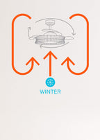 CREATE Wind Clear Ceiling Fan with White Light and Wicker Knot