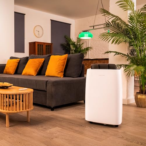 Cecotec BigDry 10000 Expert Dehumidifier - 30L/day Moisture Control