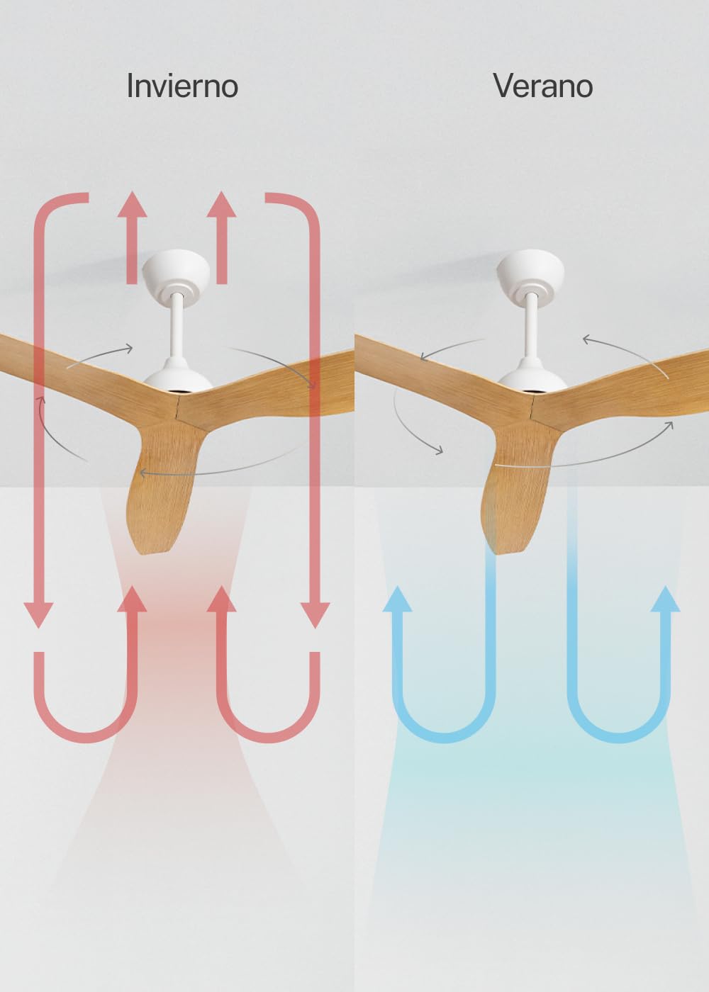 CREATE Wind Balance Ceiling Fan with Light and Remote Control