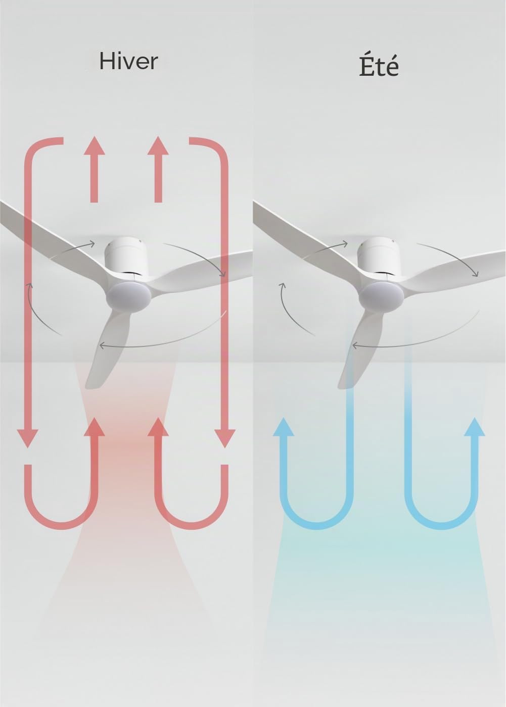 CREATE Wind Calm Slim Ceiling Fan with white light and remote control