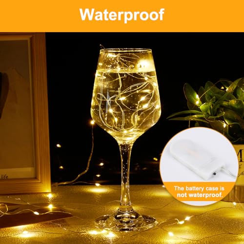 Forepin Fairy Lights, 20 Pack Battery Operated, 1M Warm White String Lights For Indoor Decoration