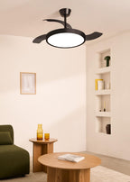 Create Wind Clear Studio S Ceiling Fan with Light