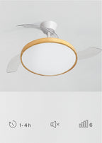 CREATE WIND CLEAR STUDIO M Ceiling Fan with Light