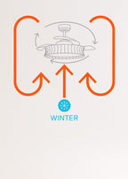 CREATE Wind Clear Ceiling Fan with White Light and Braided Wicker