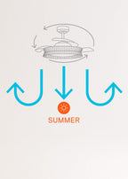 CREATE Wind Clear Ceiling Fan with White Light and Wicker Knot
