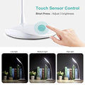HyAdierTech LED desk lamp with flexible neck and touch control