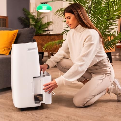 Cecotec - BigDry 10000 Expert Dehumidifier, 30L/day, WiFi Control, 6L Tank