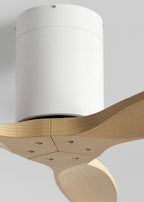 CREATE WindCalm S Ceiling Fan with Light and Remote Control