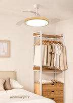 CREATE WIND CLEAR STUDIO M Ceiling Fan with Light