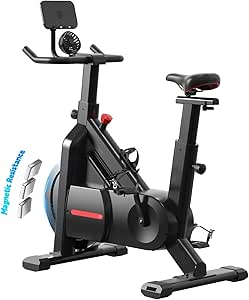 Bluearth Indoor Cycling Spin Bike with Silent Magnetic Resistance