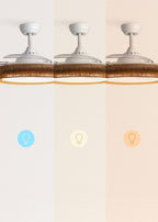 CREATE Wind Clear Ceiling Fan with White Light and Braided Wicker