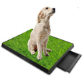 RATSTONE Dog Potty Mat with a realistic lawn design and removable tray for easy cleaning