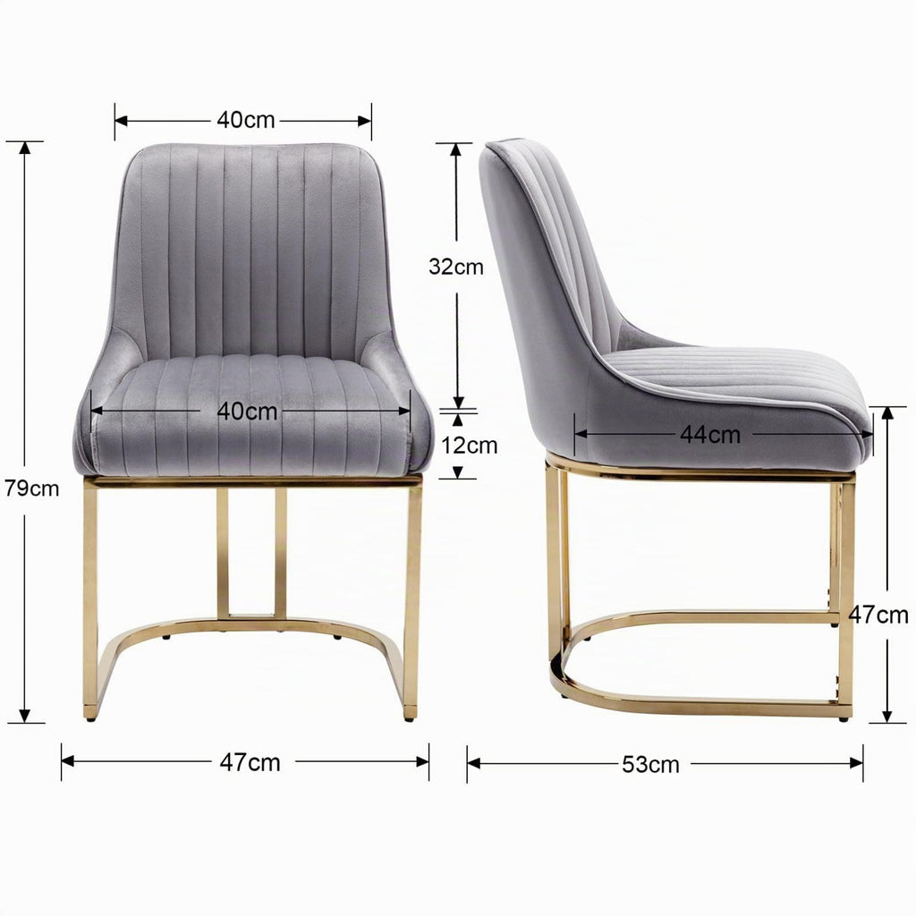 Ya-Home Set of 2 Velvet Dining Chairs with Gold Metal Frame