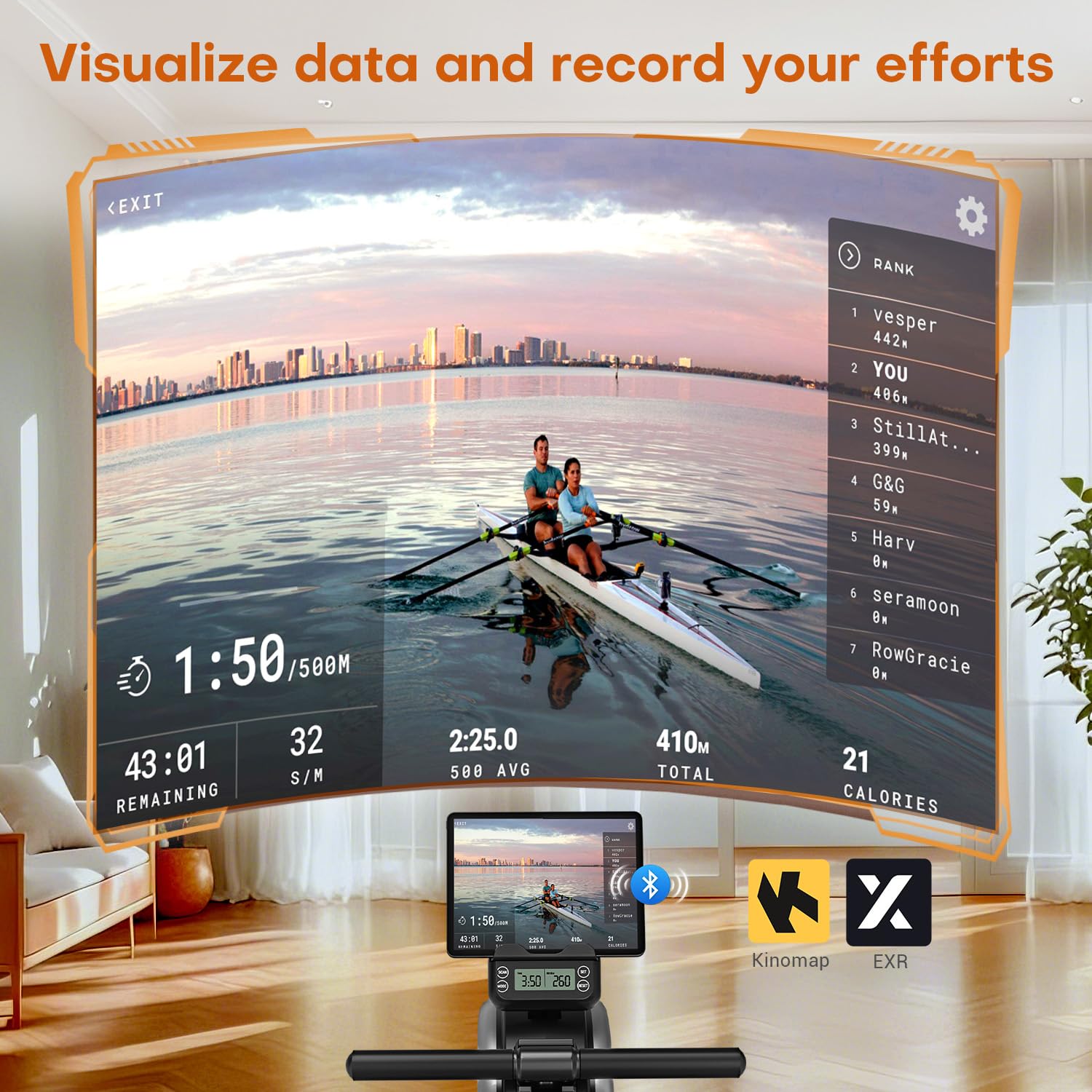 DMASUN Magnetic Rowing Machine Home Gym with 16 Resistance Levels