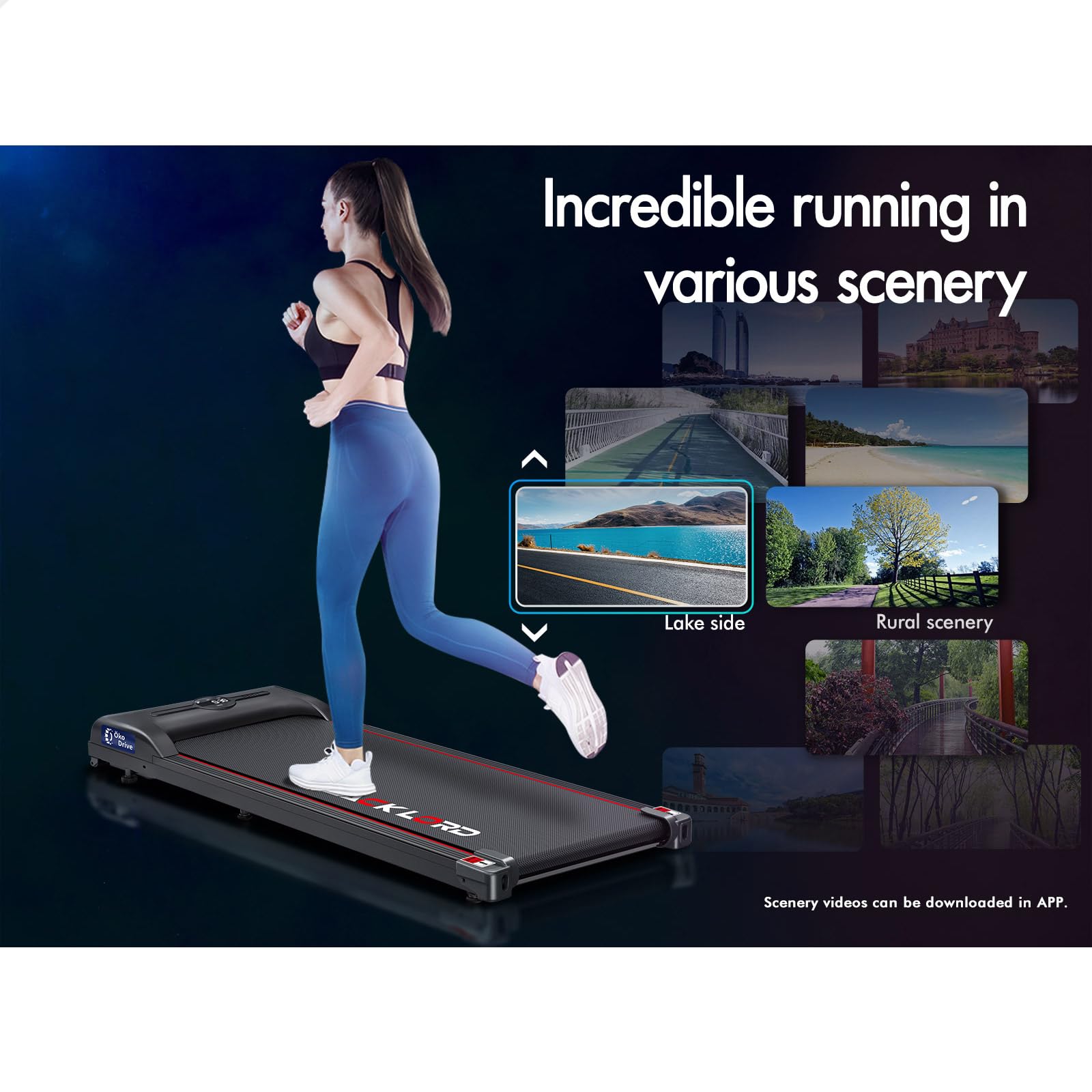BLACK LORD 2.4HP Foldable Treadmill for Home and Office