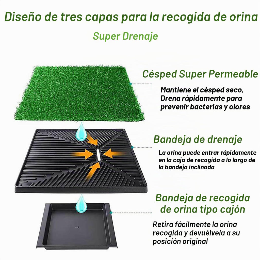 RATSTONE Dog Potty Training Mat with Removable Tray
