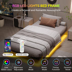 DICTAC Modern Metal Bed Frame with LED Lighting