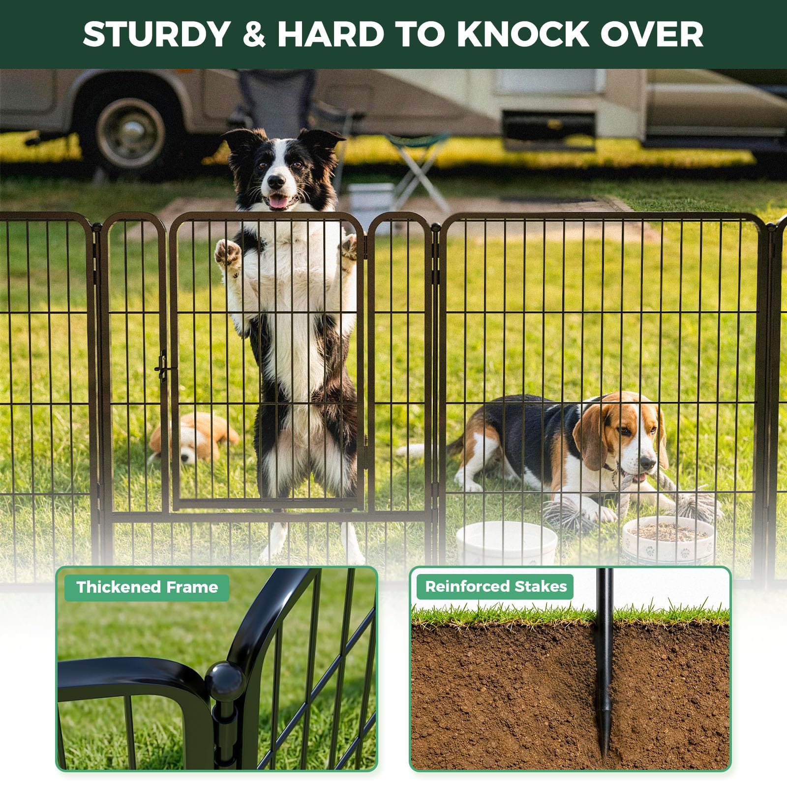FXW Rollick Dog Playpen for Small & Medium Dogs