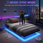 DICTAC Modern Metal Bed Frame with LED Lighting