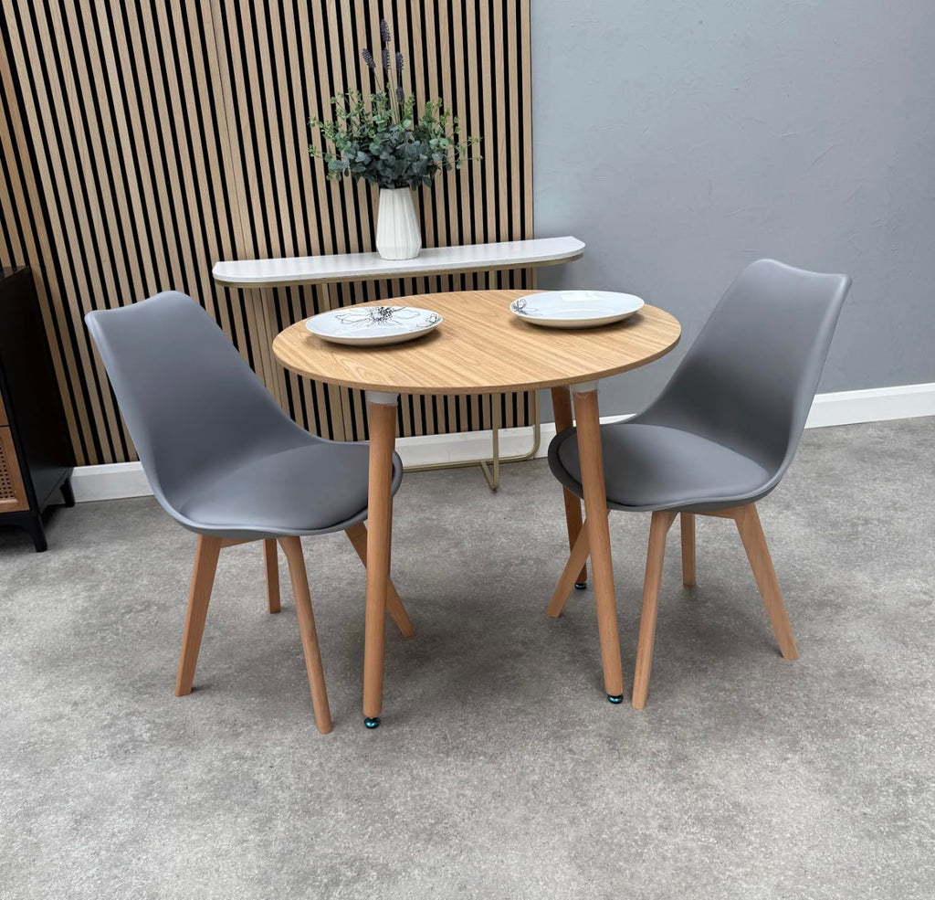 Life Interiors Lorenzo Retro Modern Dining Chairs Set of 2
