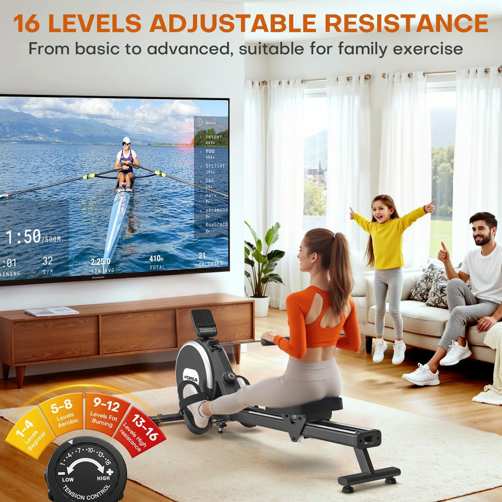 DMASUN Magnetic Rowing Machine - 350LB Capacity