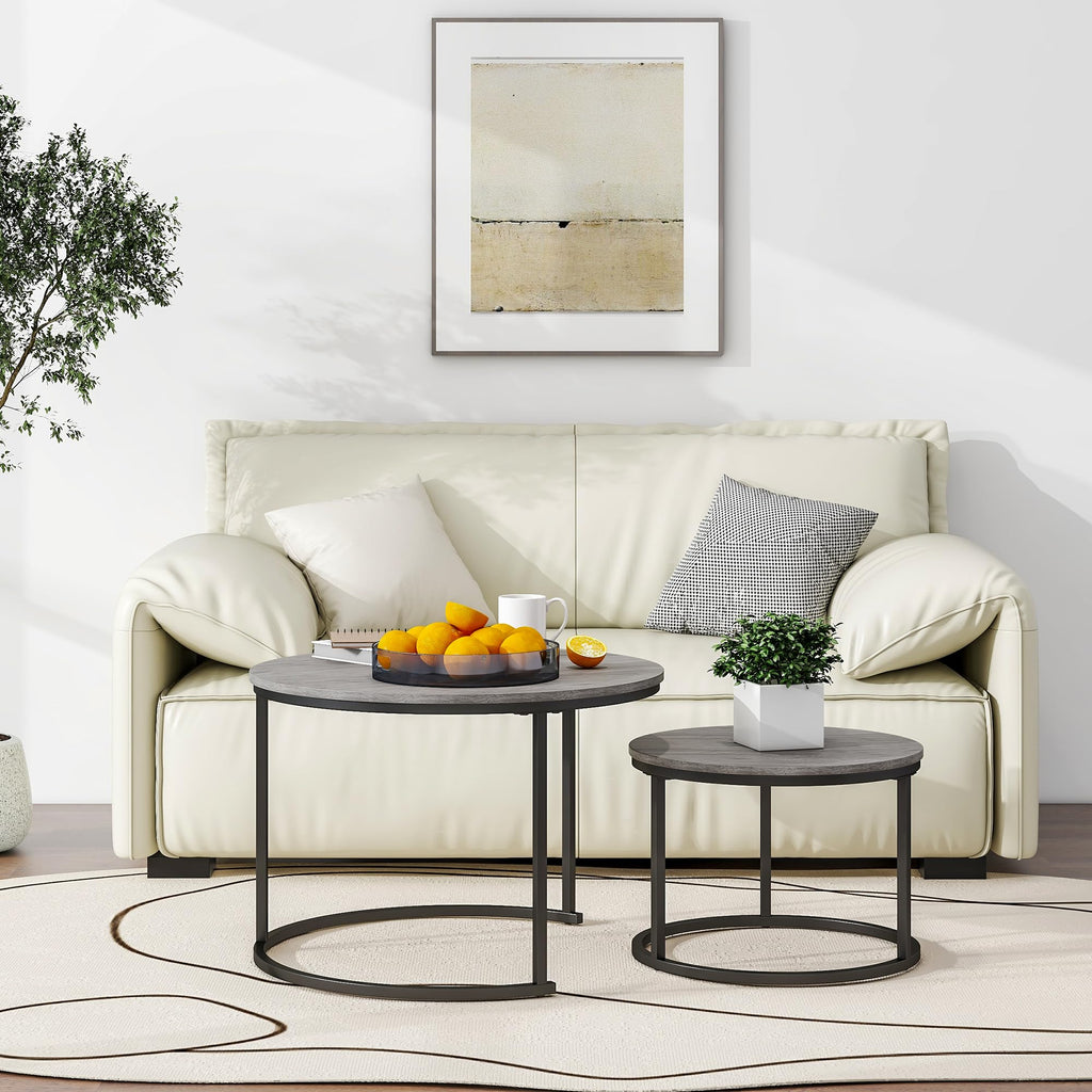 HOJINLINERO Modern Round Coffee Table Set of 2