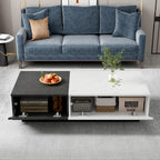 MURUL Marble Effect Veneer Two Door Coffee Table