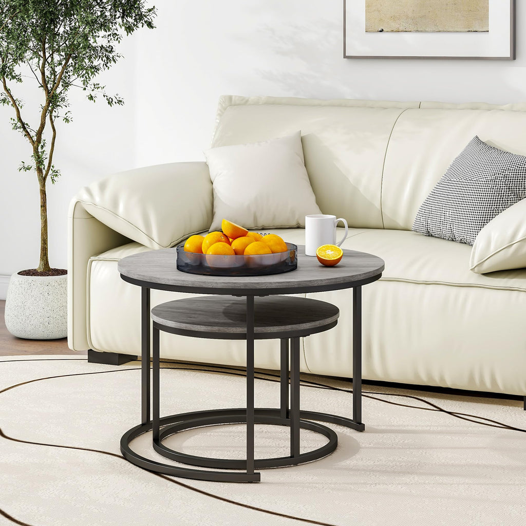 HOJINLINERO Modern Round Coffee Table Set of 2
