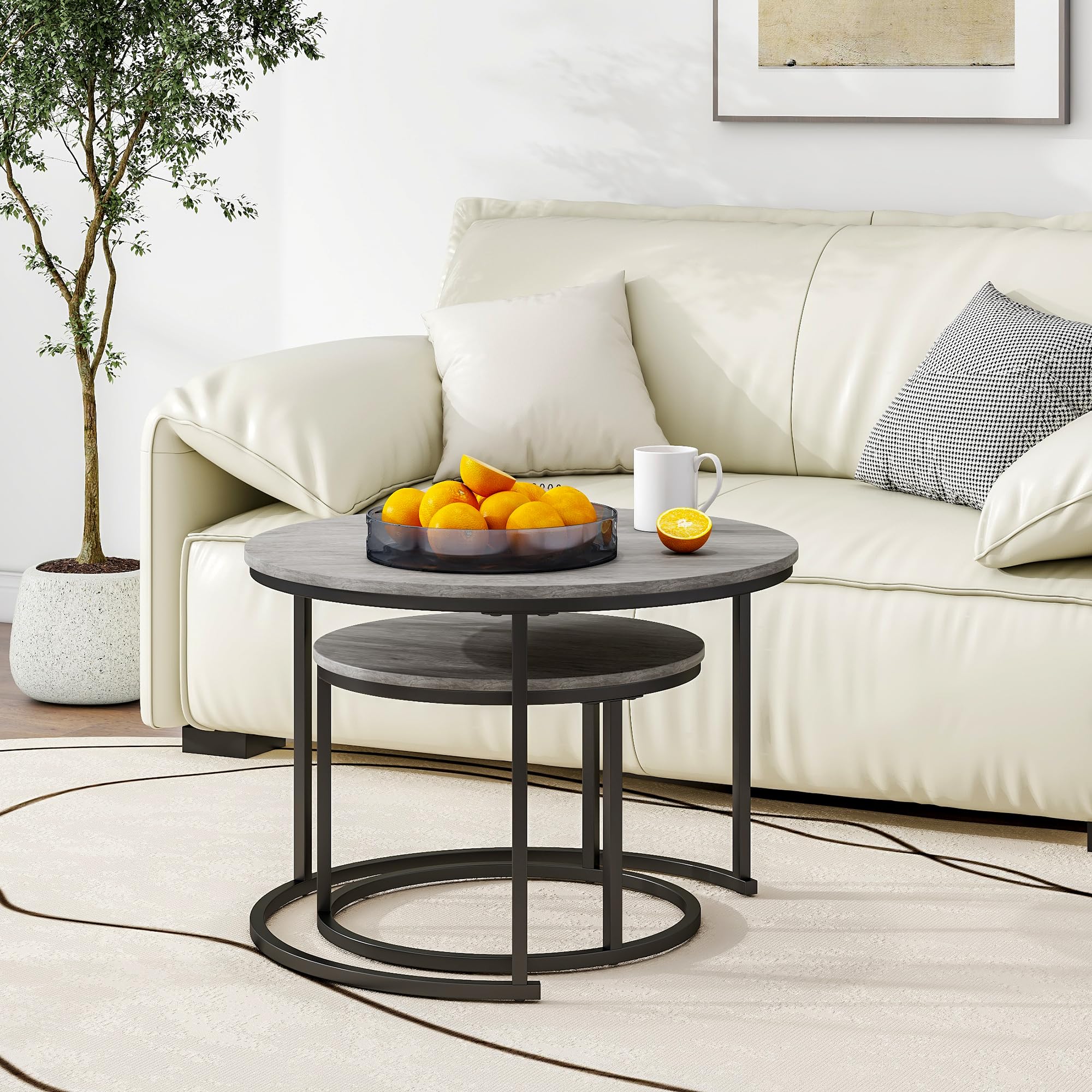 HOJINLINERO Modern Round Coffee Table Set of 2
