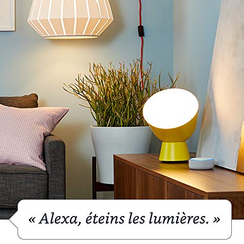 Amazon - WiFi Smart Plug with Alexa Voice Control, Easy Setup, Energy Monitoring