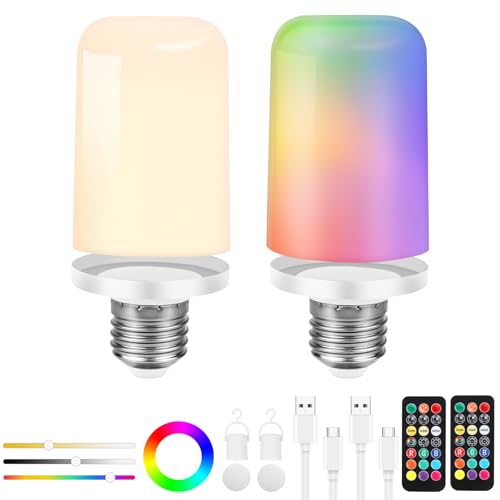 Shop Birnetek's E27 LED Bulb, featuring USB-C recharge, remote & touch control, dimmable settings, and emergency light functionality. Perfect for versatile lighting needs!