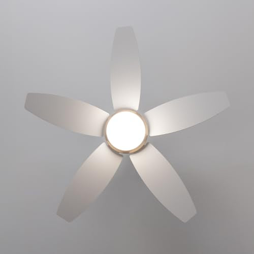 Cecotec - EnergySilence Aero 4200 Ceiling Fan with 3-Speed, Timer, 5 Blades