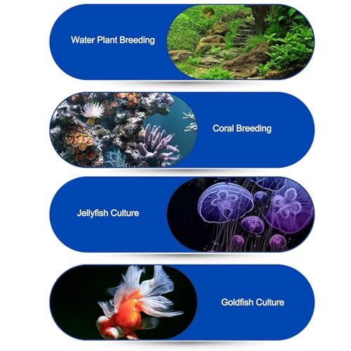 Generic - Quiet Chiller Aquarium Cooling System, 70W, Fast Cooling for 20L Tanks