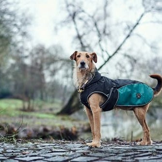 Hunter - Adjustable Dog Coat with Unbuttonable Lining & Rubber Leg Loops