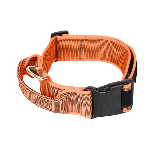 Shop the Julius K-9 Adjustable Dog Harness in blue. Available in 40mm and 50mm widths, perfect for dogs with adjustable circumferences. Durable and comfortable!