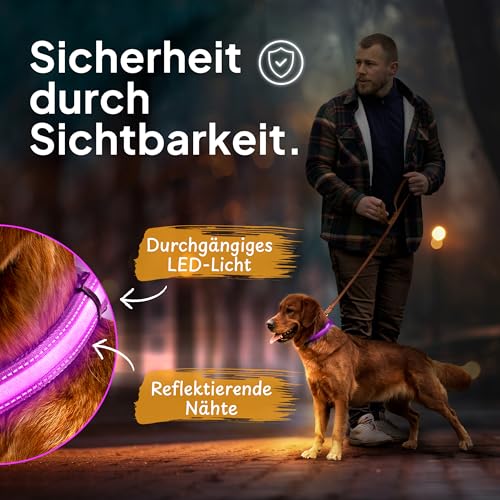 Luminous - LED Dog Collar for Small & Large Dogs, Rechargeable, Weatherproof