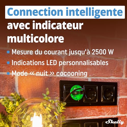 Shelly - Programmable Wi-Fi Smart Plug with Timer, 2500W, Alexa & Google Home Compatible